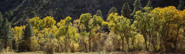 [Chet Shinaman - Adirondacks]